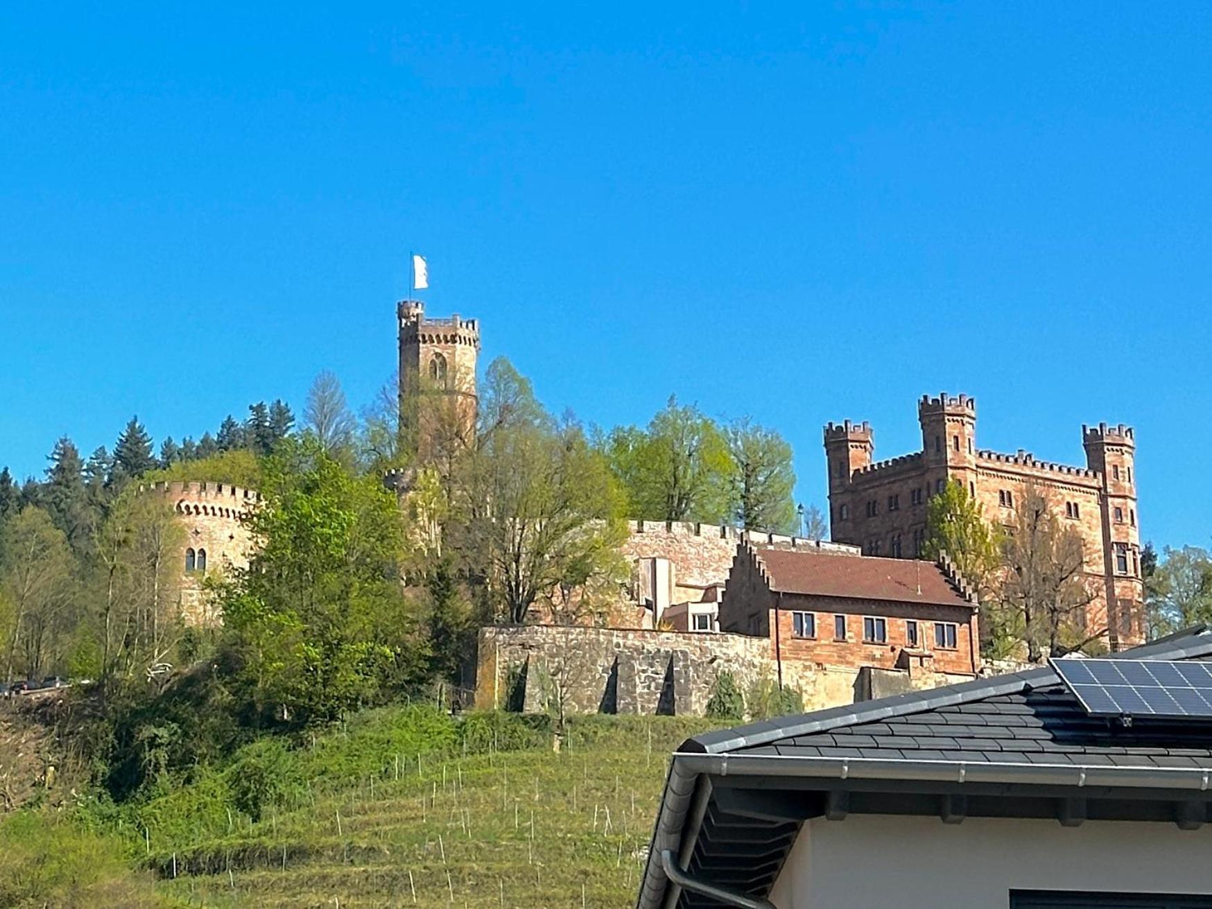 Ferienwohnung Mit Schlossblick Bei Offenburg Ortenberg  Eksteriør billede